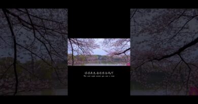 Teach you simple four-step flower photography techniques. Commonly used universal flower photogr