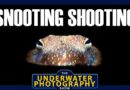 Tips & Techniques For Shooting With Snoots