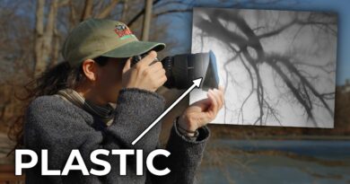 Escape Your Landscape Photography Rut with These Tips