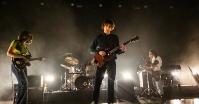 The Fanfare Around Geese Actually Was a Psyop