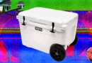 13 Best Coolers for Sunshine and Nighttime (2026)