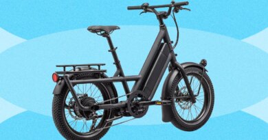Best Electric Cargo Bikes (2026): Urban Arrow, Lectric, Tern, and More