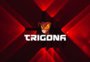 Trigona ransomware attacks use custom exfiltration tool to steal data
