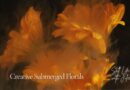 How to Photograph Submerged Flowers | Creative Still Life Photography Tutorial
