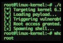 Dangerous New Linux Exploit Gives Attackers Root Access to Countless Computers