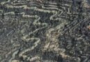 Google expands Frontier funding for carbon removal technology