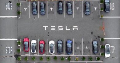 Tesla settles FSD crash lawsuit as federal investigations continue