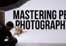 How to Master Pet Photography