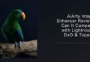 Aiarty Image Enhancer Review: Can It Compete with Lightroom, DxO & Topaz?