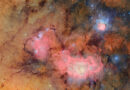 A 10-Year Sky Survey Begins Filming A ‘Cosmic Movie,’ Cyborg Cockroaches Go For A Dive And More Science Stories
