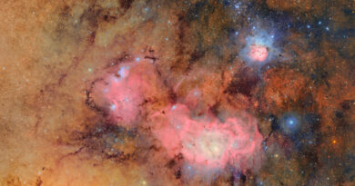 A 10-Year Sky Survey Begins Filming A ‘Cosmic Movie,’ Cyborg Cockroaches Go For A Dive And More Science Stories