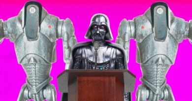 ‘Darth Vader’ Wants You to Know He Definitely Supports Flock Surveillance