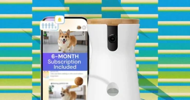 The Best Amazon Prime Day Pet Deals on Feeders, Litter Boxes, and More (2026)